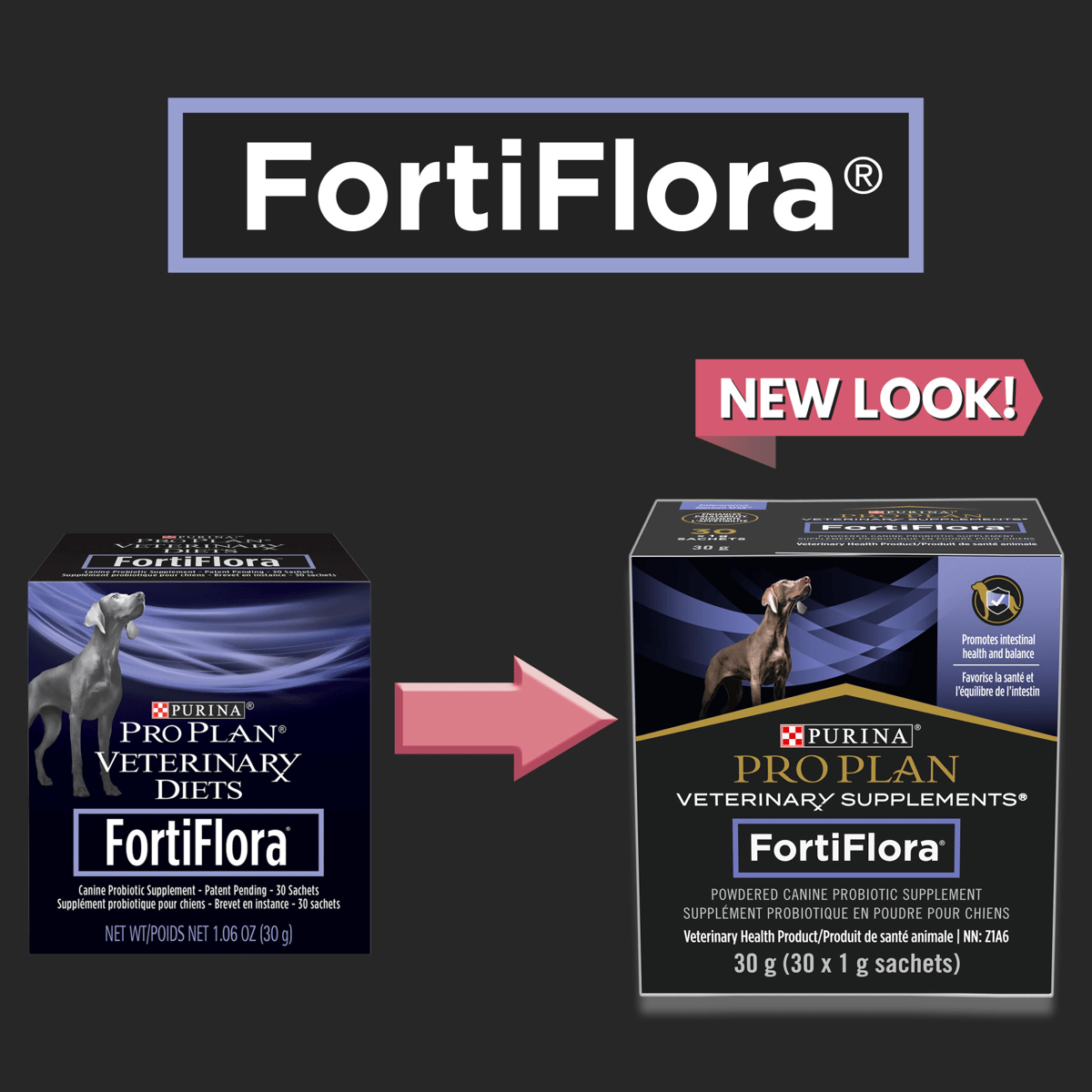 FortiFlora® Powdered Canine Probiotic Supplement New Look