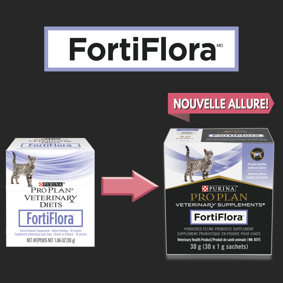 Supplément probiotique FortiFlora🅫 en Poudre pour chats - Nouvelle Allure